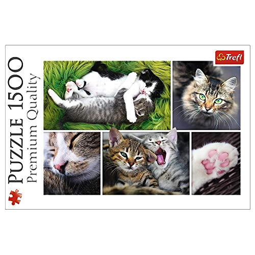 Trefl, Puzzle, Katzensachen, 1500 Teile, Collage, Premium Quality, für Erwachsene und Kinder ab 12 Jahren von Trefl