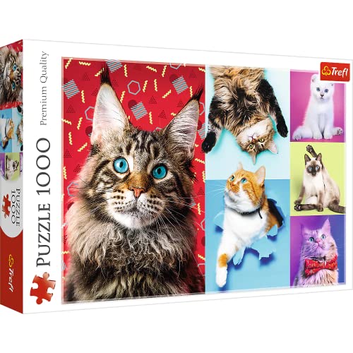 Trefl 10591 Lustige Katzen 1000 Teile, Premium Quality, für Erwachsene und Kinder ab 12 Jahren Puzzles von Trefl
