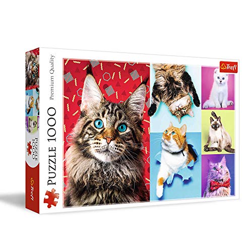 Trefl 10591 , Puzzle, Lustige Katzen, 1000 Teile, mit Katzen, für Kinder ab 12 Jahren von Trefl
