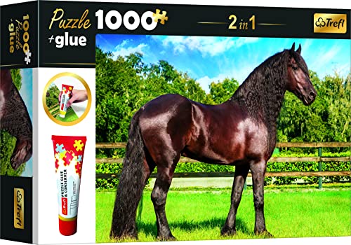 Trefl 10643 Puzzle 1000 Teile, Kleber und Konservierungsmittel, Elemente anordnen und kombinieren, kreative Unterhaltung, für Erwachsene und Kinder ab 12 Jahren Set 2in1, Friesenpferd Trefl 10643 Puzzle 1000 Teile, Kleber und Konservierungsmittel, Elemente anordnen und kombinieren, kreative Unterhaltung, für Erwachsene und Kinder ab 12 Jahren Set 2in1, Friesenpferd von Trefl