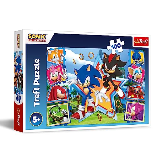 Puzzle 100 - Sonic von Trefl