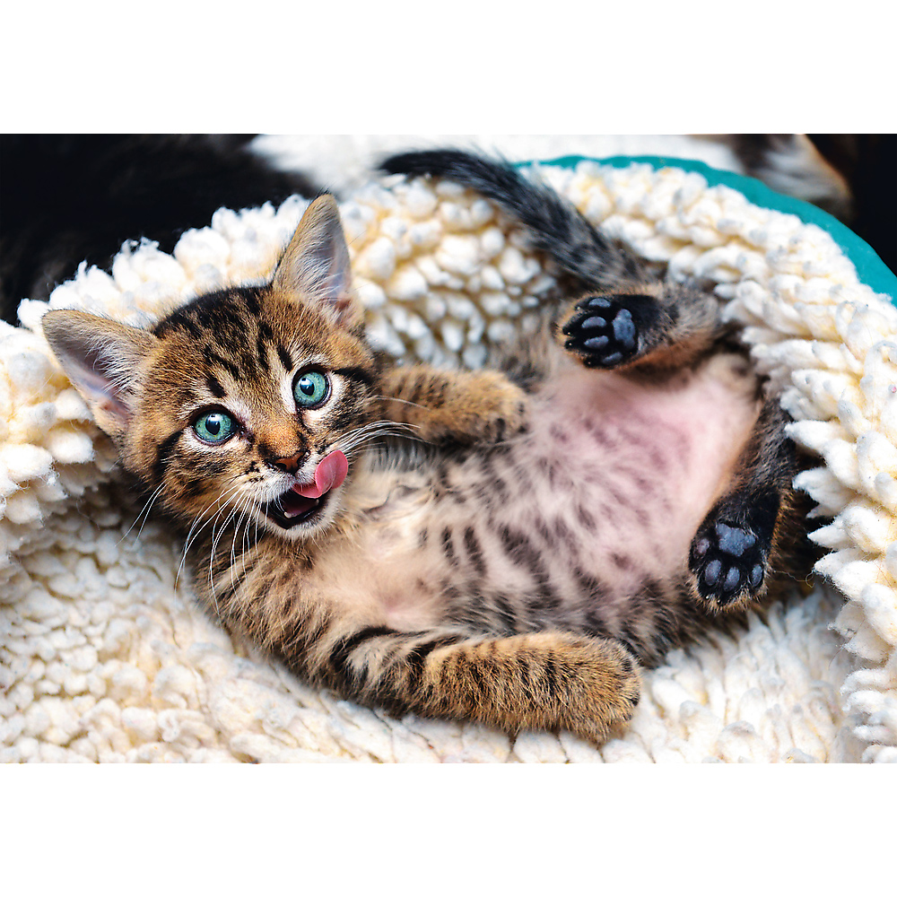Trefl Cheerful Kitten 1000 Teile Puzzle Trefl-10448 von Trefl