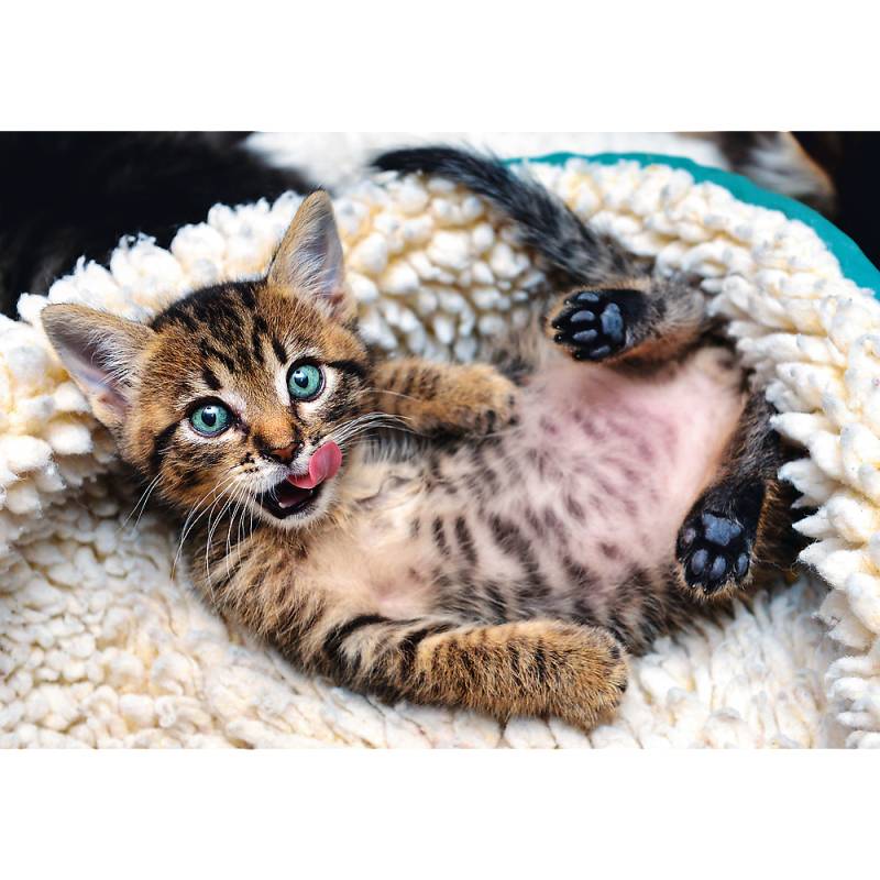 Trefl Cheerful Kitten 1000 Teile Puzzle Trefl-10448 von Trefl