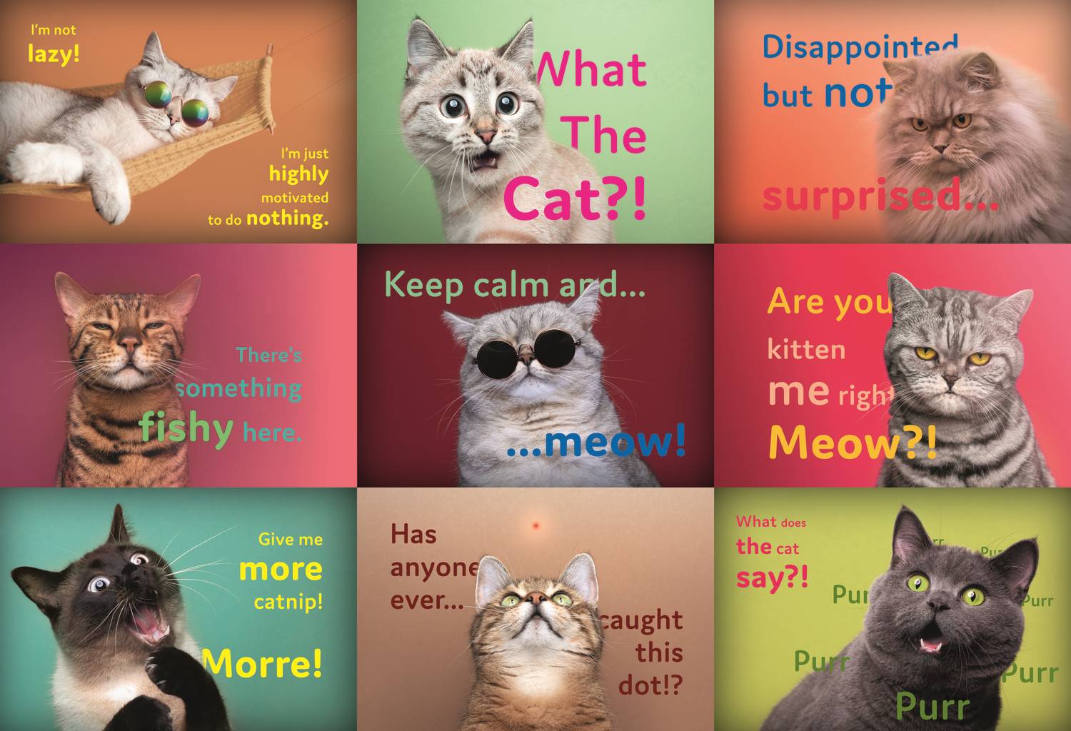 Trefl Funny Cats Faces 1500 Teile Puzzle Trefl-26212 von Trefl