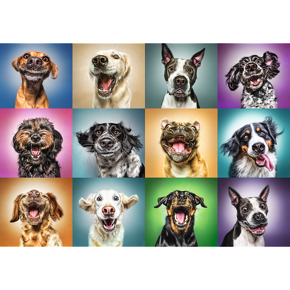 Trefl Funny Dog Portraits 1000 Teile Puzzle Trefl-10462 Trefl Funny Dog Portraits 1000 Teile Puzzle Trefl-10462 von Trefl