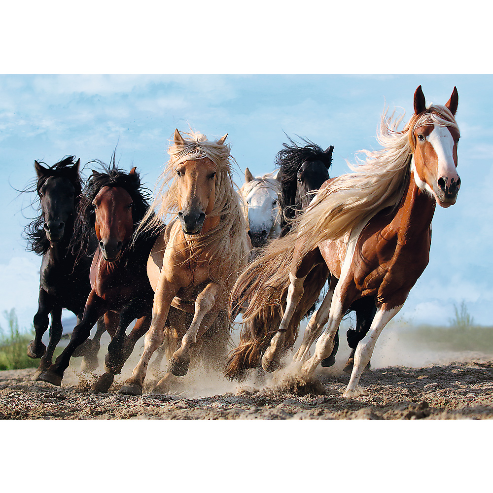 Trefl Galopping Horses 1000 Teile Puzzle Trefl-10446 von Trefl