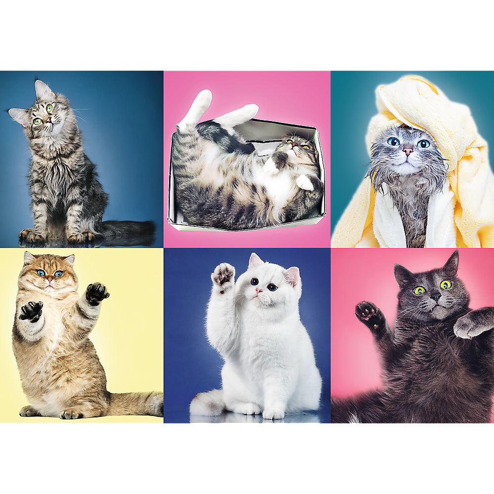 Trefl Kittens 500 Teile Puzzle Trefl-37377 von Trefl