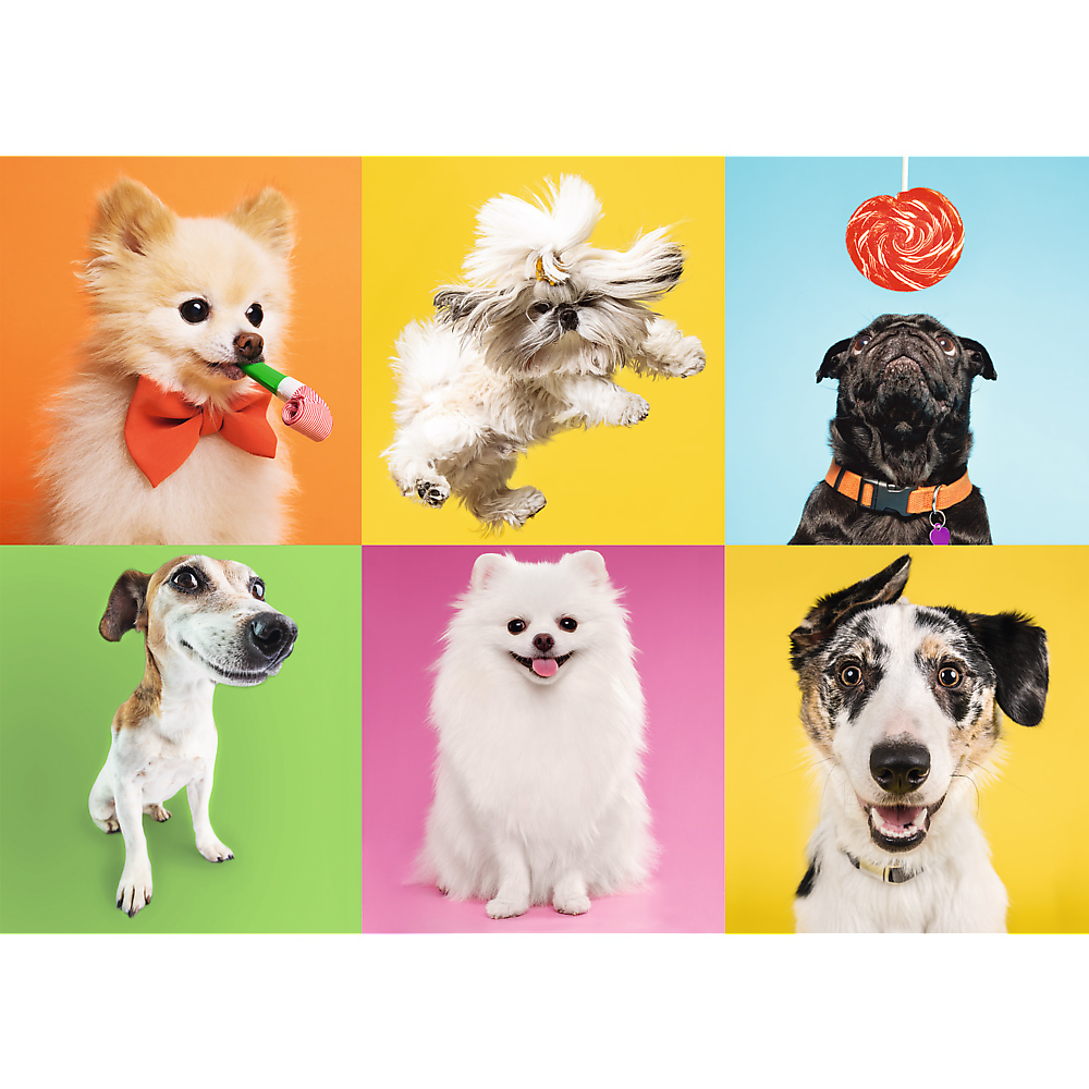Trefl Psy 500 Teile Puzzle Trefl-37378 Trefl Psy 500 Teile Puzzle Trefl-37378 von Trefl