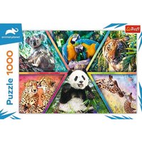 Trefl - Puzzle - Königreich der Tiere, 1000 Teile von Trefl