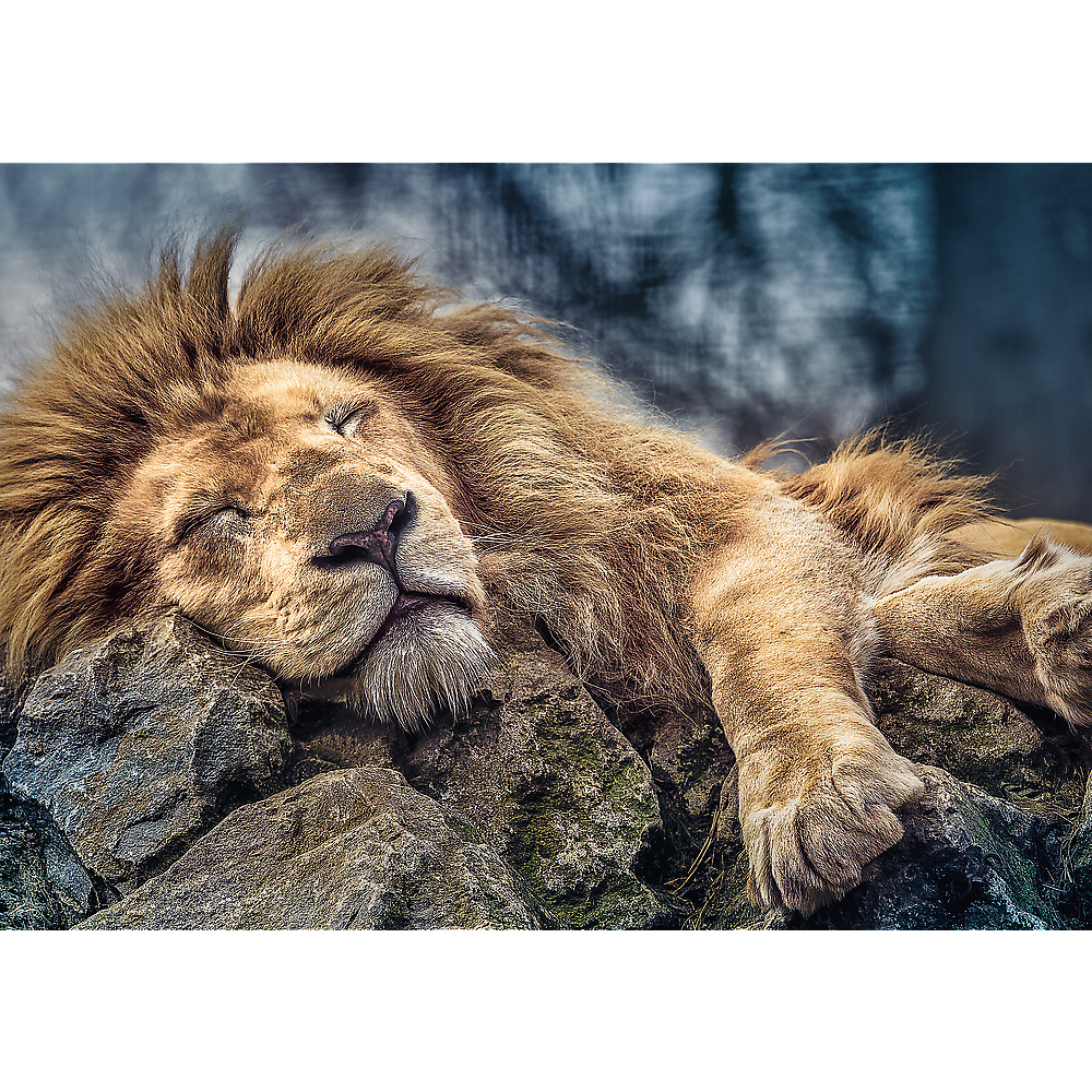 Trefl Sleeping Lion 1000 Teile Puzzle Trefl-10447 von Trefl