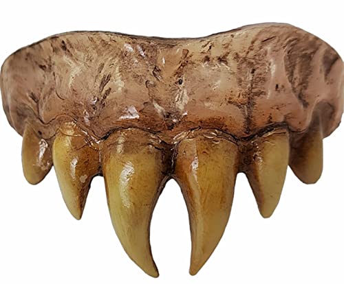 Bitemares Horror Vampir Master Teeth Adult Costume Accessory von Trick Or Treat Studios