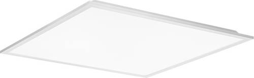 Trilux 7798340 LED-Deckenleuchte LED 31W Weiß von Trilux