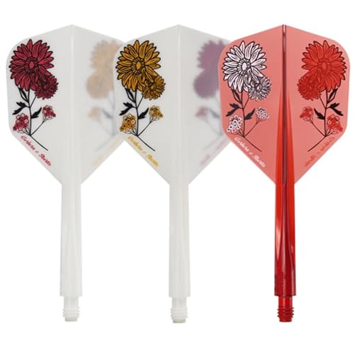 Condor Axe Flight- Small Gerbera Statice Mix (Short) von Trinidad