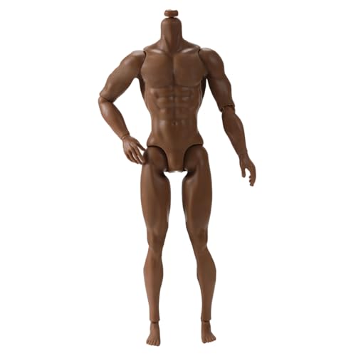 1/6 Scale Action Figure, 6" Multi Jointed Movable Male Muscular Action Figure Body for Display Collection, Brown 1/6 Scale Action Figure, 6" Multi Jointed Movable Male Muscular Action Figure Body for Display Collection, Brown von Trrymbbe
