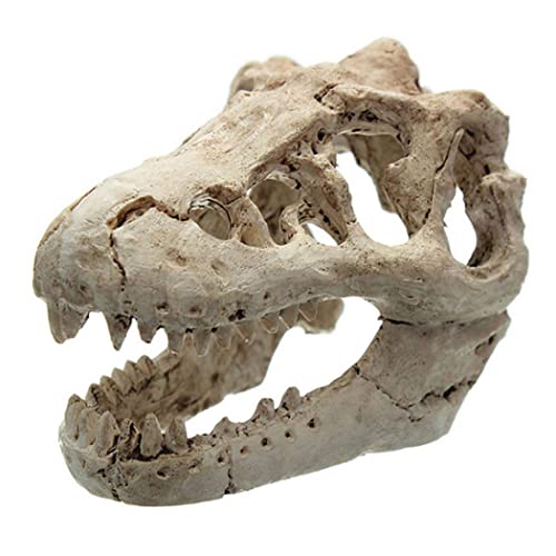 Aquarium Dinosaurierschädel Ornament Neuheit Fischtank Dekoration Terrarium Künstliche Dinosaurierschädel Aquarium Ornament Künstliche Neuheit Fischtank Dekoration Terrierung von Trrymbbe