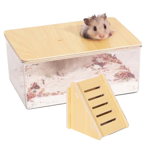 Trrymbbe Hamstersandbad, 2pcs/Set Hamster Sandbadbehälter mit Leiter, Box Clear Kit Duschblock und Leiter für Lemming -Rennmäuse von Trrymbbe