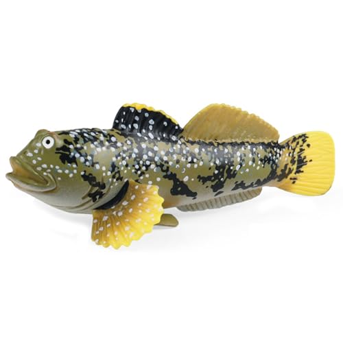 Trrymbbe Sea Animal Toys 4.3x1.4x2.2 Realistische Mudskipper -Tierfiguren für Wissenschaftsprojekt & Kuchen -Topper, frühe Bildungssee -Kreaturen Spielzeug für Kinder Kleinkinder Kreaturen für Kinder von Trrymbbe