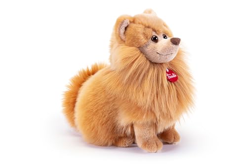 Trudi Pommerscher Biscuit Geburtstags, Plüschhund | 25x25x18cm Grosse M | Klassische Hunde | Modell 22348 Trudi Pommerscher Biscuit Geburtstags, Plüschhund | 25x25x18cm Grosse M | Klassische Hunde | Modell 22348 von Trudi