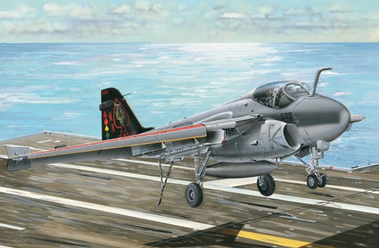 A-6E/TRAM INTRUDER A-6E/TRAM INTRUDER von Trumpeter