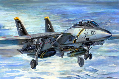 F-14B Tomcat F-14B Tomcat von Trumpeter