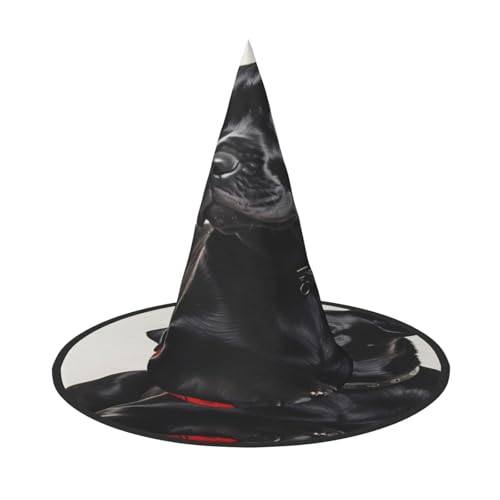 Ttkjshmgc Schwarzer Hund – Festival-Krone – kompakter Kostüm-Kopfschmuck für Halloween und Larp, verstellbare Gothic-Tiara mit maschinenwaschbarem Stoff Ttkjshmgc Schwarzer Hund – Festival-Krone – kompakter Kostüm-Kopfschmuck für Halloween und Larp, verstellbare Gothic-Tiara mit maschinenwaschbarem Stoff von Ttkjshmgc