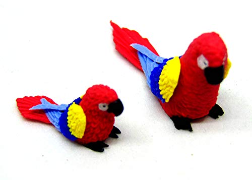 Tumdee Miniatures Puppenhaus Miniatur-Modelliermasse, kleine und große Papageien, Miniatur-Vogel-Zubehör P14 von Tumdee Miniatures