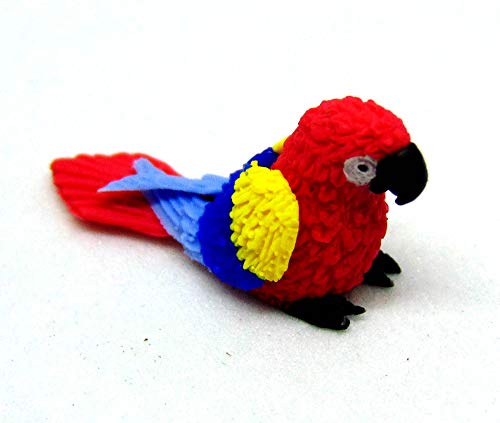 Tumdee Miniatures Puppenhaus Miniatur-Polymer-Ton, klein, Papagei, Miniatur-Vogelzubehör P14 Tumdee Miniatures Puppenhaus Miniatur-Polymer-Ton, klein, Papagei, Miniatur-Vogelzubehör P14 von Tumdee Miniatures