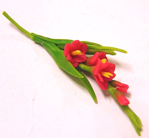 Tumdee Miniatures Puppenhaus Miniaturstrauß rote Gladiolenblumen Miniaturzubehör von Tumdee Miniatures