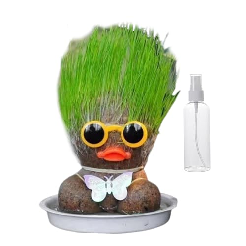 Tuxuseo Wachsende Graskopfpuppe, Graskopfpuppe Pflanze, Mini -Grashead -Haare Wachsen Spielzeug, Pflanzendekoration liefert Bildungsinstrument zur Förderung der Pflanzfähigkeit von Kindern für von Tuxuseo
