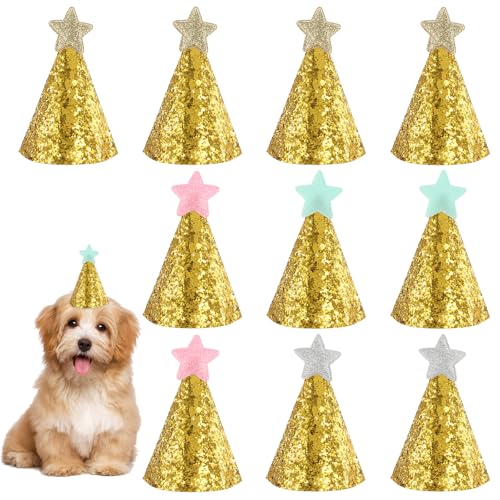 Tweruna 10 Stück Partyhüte für Kuscheltiere, Mini Hütchen Kinder mit Stern, Verstellbare Katzen Geburtstag Deko, Partyhüte für Hunde Geburtstag, Kostüm Zubehör von Tweruna