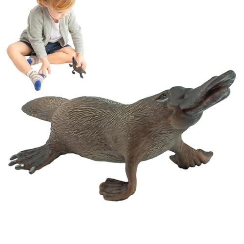 TyCylKu Spielzeugfigur | Tiermodell Spielzeug,Schnabeltier-Modell, Wildtierfiguren, Desktop-Dekorationssammlung, Partybevorzugungen, Spielzeug für, Mädchen, Kinder TyCylKu Spielzeugfigur | Tiermodell Spielzeug,Schnabeltier-Modell, Wildtierfiguren, Desktop-Dekorationssammlung, Partybevorzugungen, Spielzeug für, Mädchen, Kinder von TyCylKu