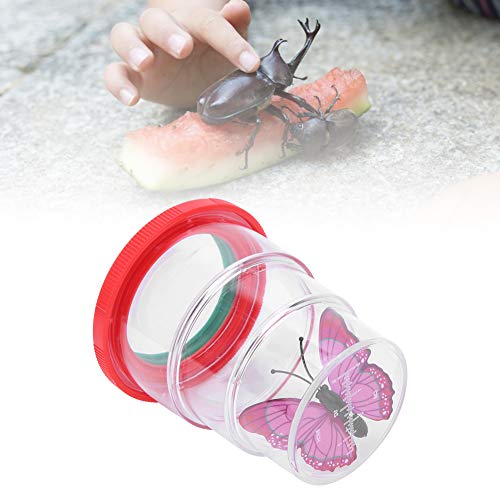 Tyenaza 10pcs Insekten Viewer -Box, Insekten Betrachter Beobachtung Vergrößerung Bugs Box Science School Tool Kinder Spielzeug, für wissenschaftliche Naturforschung Sammeln von Tyenaza