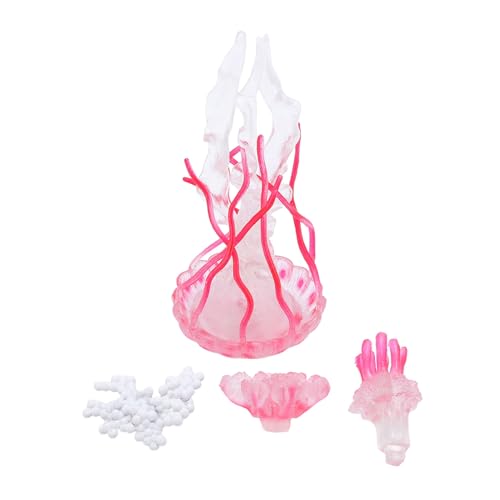 Tyenaza 4Pcs Jellyfish Growth Cycle Figurine, Educational Play Simulated Jellyfish Model Toy Realistic Ocean Animals Model for Home Office Party Decoration Tyenaza 4Pcs Jellyfish Growth Cycle Figurine, Educational Play Simulated Jellyfish Model Toy Realistic Ocean Animals Model for Home Office Party Decoration von Tyenaza