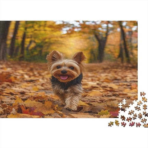 Yorkshire Terrier Puzzles1000 Teile, Puzzle Für Erwachsene, Geschicklichkeitsspiel Für Die Ganze Familie, Klassische Puzzle,Geburtstagsgeschenk Erwachsenen Puzzlespiel Puzzel 1000pcs (75x50cm) von UBZKJDEUI