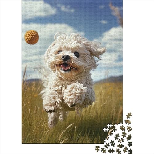 West Highland White Terrier Puzzle 1000-teilige Schwer Puzzle Spielzeug Pädagogisches Spiel Impossible Herausforderungsspielzeug Für Erwachsene Kinder 1000pcs (75x50cm) von UENDOKRNN