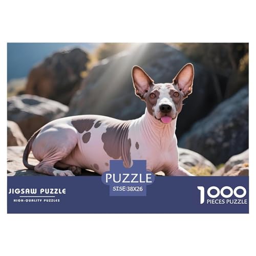 Anspruchsvolles Peruanischer Inka-Orchidee Puzzle 1000 Teile – Kreatives Haustierhund Jigsaw Für Familie – Premium Karton, Geschenkfertig & Entspannendes Spielerlebnis 38x26cm/1000pcs von UFVZBNFAN