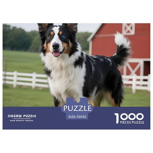 Australischer Schäferhund Puzzle 1000 Teile Für Erwachsene – Anspruchsvolles Haustierhund Motiv – Poster, Geschenkbox & Kreative Freizeitgestaltung 70x50cm/1000pcs von UFVZBNFAN