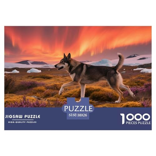 Entspannendes Norwegischer Elchhund Puzzle 1000 Teile – Premium Haustierhund Jigsaw Für Erwachsene – Hochwertiger Karton, Klare Details, Geschenk-Idee & Deko 38x26cm/1000pcs von UFVZBNFAN