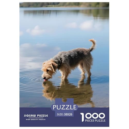 Norfolk Terrier Puzzle 1000 Teile Für Erwachsene – Anspruchsvolles Haustierhund Motiv – Poster, Geschenkbox & Kreative Freizeitgestaltung 38x26cm/1000pcs von UFVZBNFAN