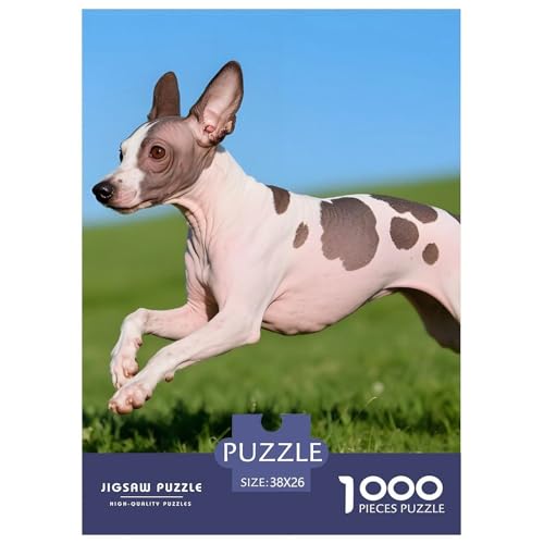 Peruanischer Inka-Orchidee Puzzle 1000 Teile Haustierhund – Kreatives Puzzle Für Männer & Frauen, Familienspiel, Relaxing Brain Teaser Mit Poster Und Geschenkbox – 38x26cm/1000pcs Peruanischer Inka-Orchidee Puzzle 1000 Teile Haustierhund – Kreatives Puzzle Für Männer & Frauen, Familienspiel, Relaxing Brain Teaser Mit Poster Und Geschenkbox – 38x26cm/1000pcs von UFVZBNFAN