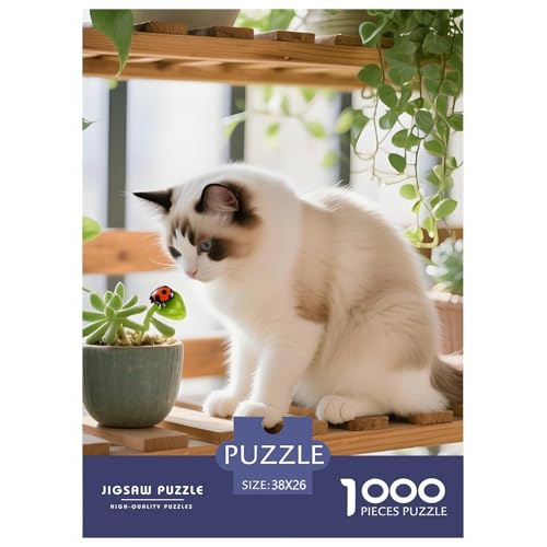 Premium Ragdoll Puzzle 1000 Teile – Anspruchsvolles Haustier Katze Design – 1000 Teile Für Erwachsene, Inklusive Poster & Dekorativer Geschenkbox 38x26cm/1000pcs von UFVZBNFAN