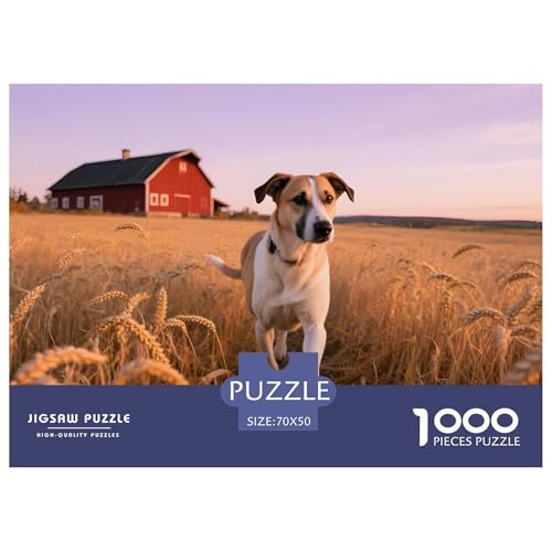 Premium Schwedischer Vallhund Puzzle 1000 Teile – Anspruchsvolles Haustierhund Design – 1000 Teile Für Erwachsene, Inklusive Poster & Dekorativer Geschenkbox 70x50cm/1000pcs von UFVZBNFAN