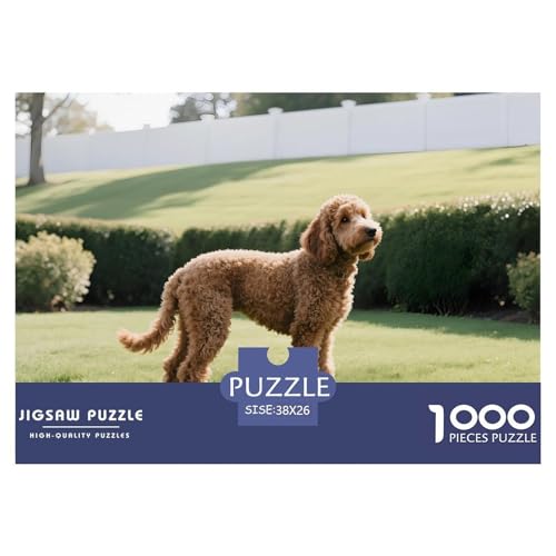 Pudel Puzzle 1000 Teile Haustierhund – Premium Edition, Matte Oberfläche Gegen Spiegelung, Klare Linien, Lernspiel & Geduldstraining, Poster Inklusive, Perfekte Heimdeko 38x26cm/1000pcs von UFVZBNFAN