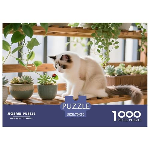 Ragdoll Puzzle 1000 Teile – Kreatives Motiv – Anspruchsvoll & Entspannend, Inklusive Geschenkbox 70x50cm/1000pcs von UFVZBNFAN