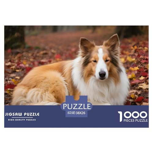 Rough Collie Puzzle 1000 Teile Für Erwachsene – Anspruchsvolles Haustierhund Motiv – Robuste Teile, Dekorative Box & Entspannende Freizeitbeschäftigung 38x26cm/1000pcs von UFVZBNFAN