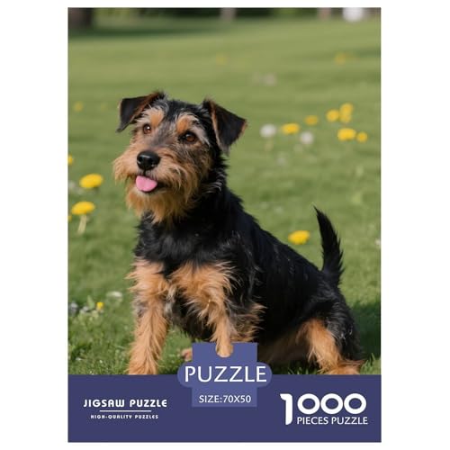 Welsh Terrier Puzzle 1000 Teile – Premium Haustierhund Motiv – Anspruchsvoll, Entspannend & Dekorativ – Mit Poster, Starker Box & Nachhaltigen Materialien 70x50cm/1000pcs von UFVZBNFAN