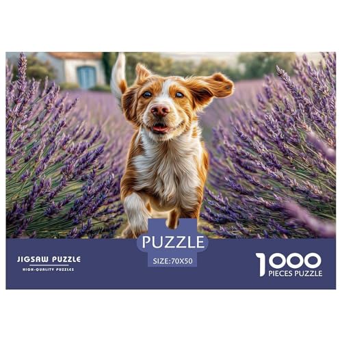 1000 Teile Pädagogisches Spiel Puzzles Für Erwachsen Lernspiel Premium Quality Geschenke Für Die Ganze Familie von UJSDVNNJJ