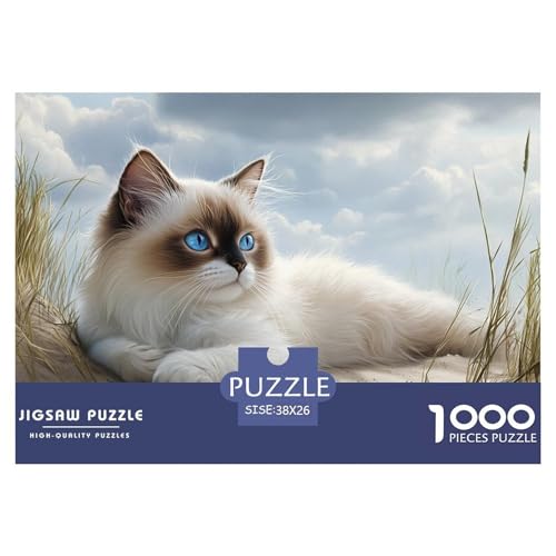 1000-teilige Ragdoll Katze Pädagogisches Spiel Puzzles Für Erwachsen Lernspiel Premium Quality Stress Abbauen Für Erwachsene Und Kinder Ab 14 Jahren 38x26cm/1000pcs 1000-teilige Ragdoll Katze Pädagogisches Spiel Puzzles Für Erwachsen Lernspiel Premium Quality Stress Abbauen Für Erwachsene Und Kinder Ab 14 Jahren 38x26cm/1000pcs von UJSDVNNJJ