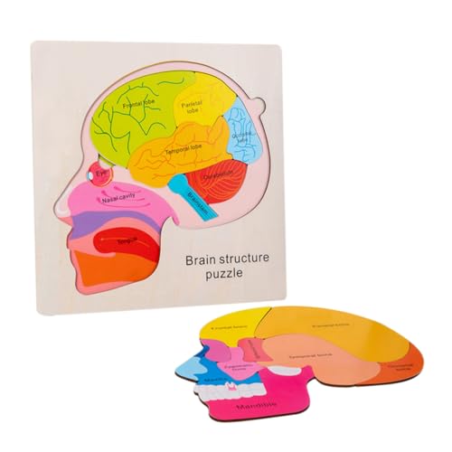 UKCOCO 1 Satz Holzpuzzle für Multistrukturiertem Puzzle Fördert Logisches und Kreativität Sicheres Glattes Design für Sicheres UKCOCO 1 Satz Holzpuzzle für Multistrukturiertem Puzzle Fördert Logisches und Kreativität Sicheres Glattes Design für Sicheres von UKCOCO
