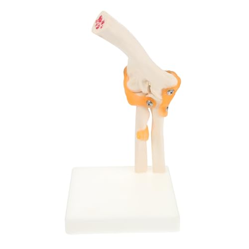 UKCOCO 1 Stück Skelettmodell Gelenkmodell Anatomiemodell anatomisches Modell modelliert den menschlichen Körper Ellenbogengelenk PVC UKCOCO 1 Stück Skelettmodell Gelenkmodell Anatomiemodell anatomisches Modell modelliert den menschlichen Körper Ellenbogengelenk PVC von UKCOCO